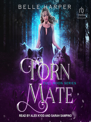 cover image of Torn Mate